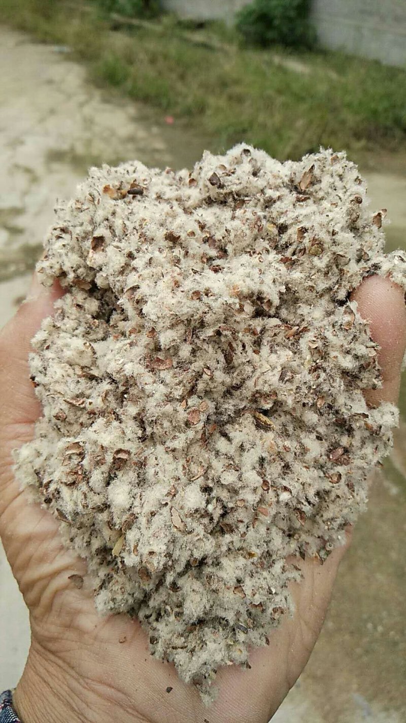 棉籽壳（平菇等栽培用广谱原料）