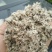 棉籽壳（平菇等栽培用广谱原料）
