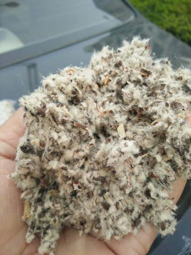 棉籽壳（平菇等栽培用广谱原料）