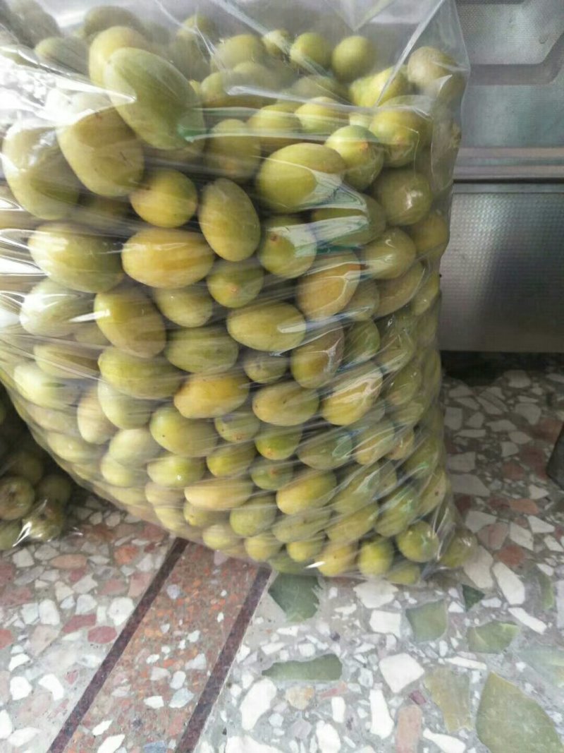 潮汕金灶三捻橄榄，甜种，纳种