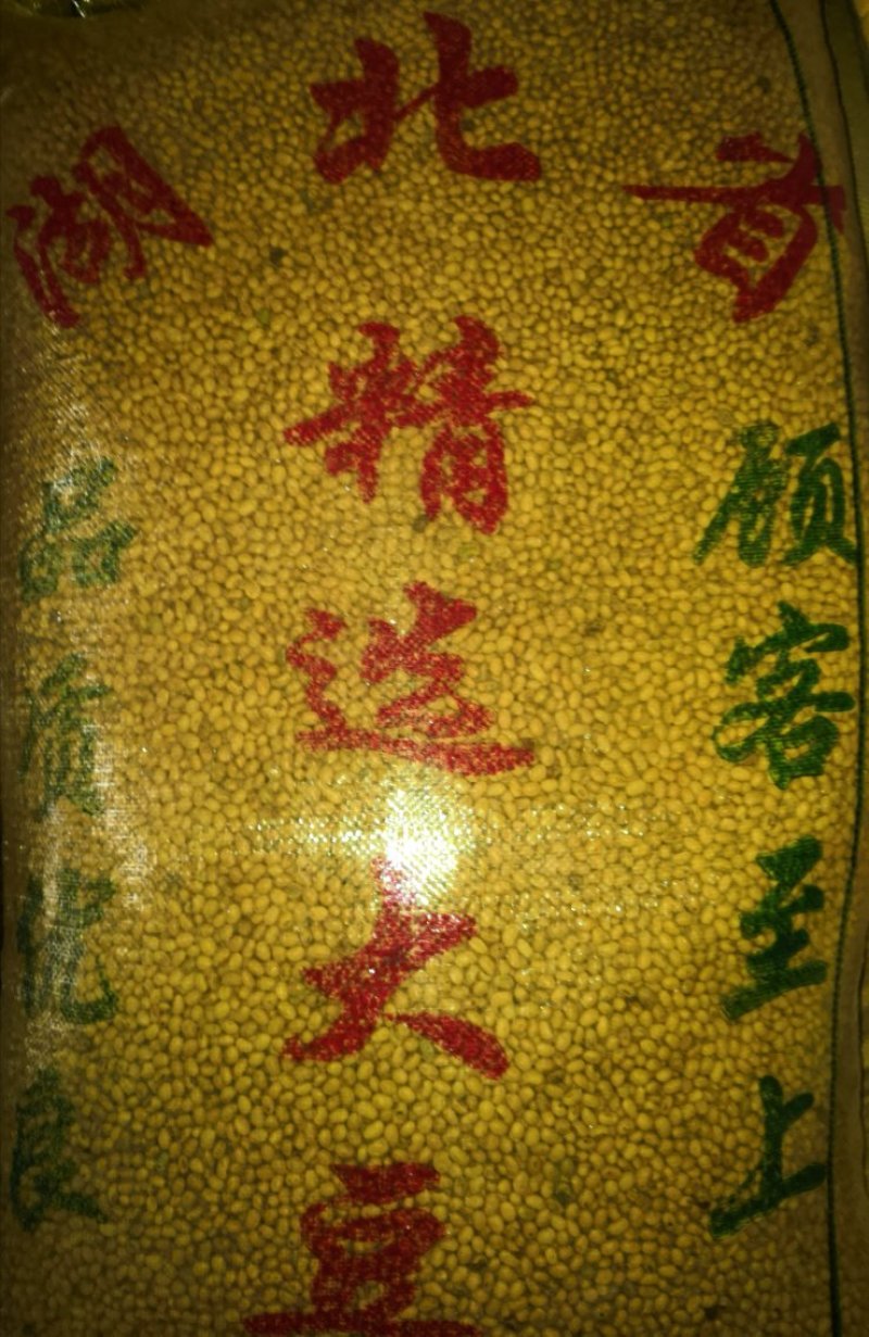 各种黄豆