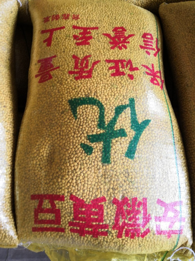 各种黄豆