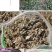 野生艾草，茄子，四季豆，大量现货，价格随意