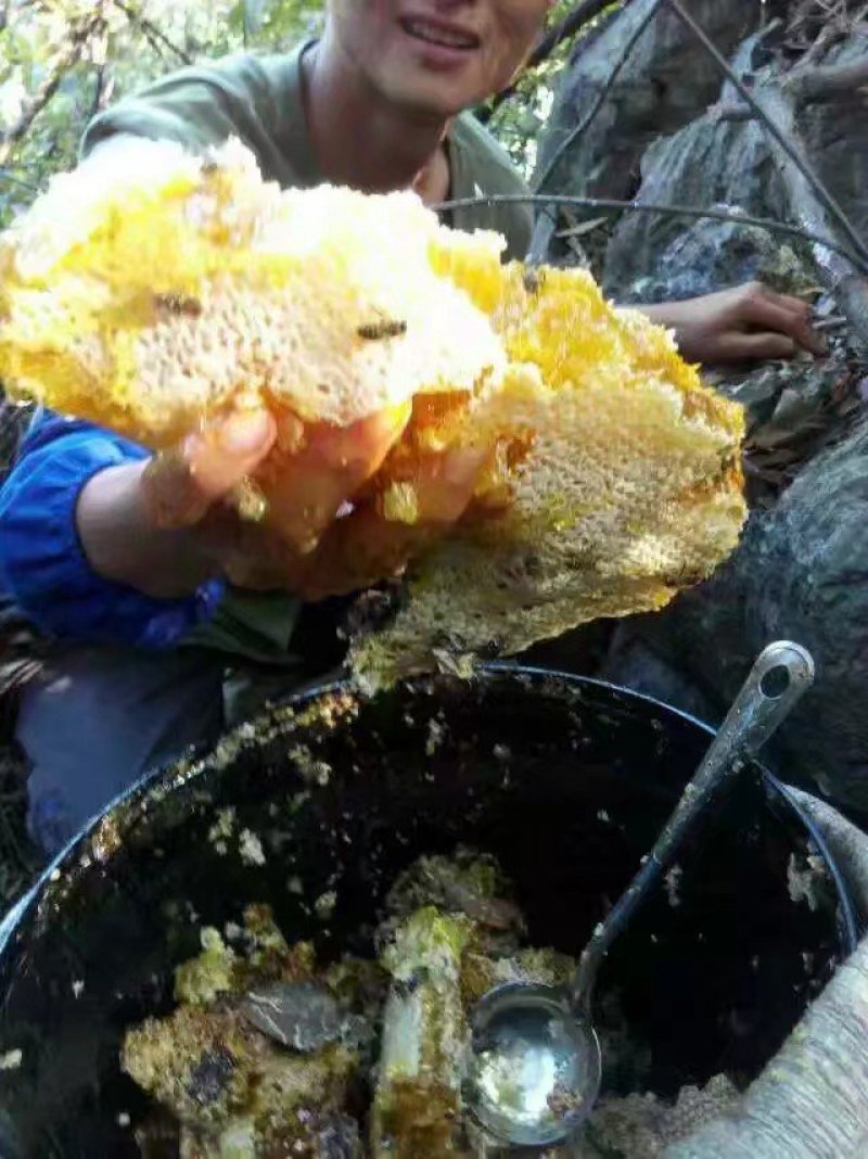 野生蜂蜜，石蜜