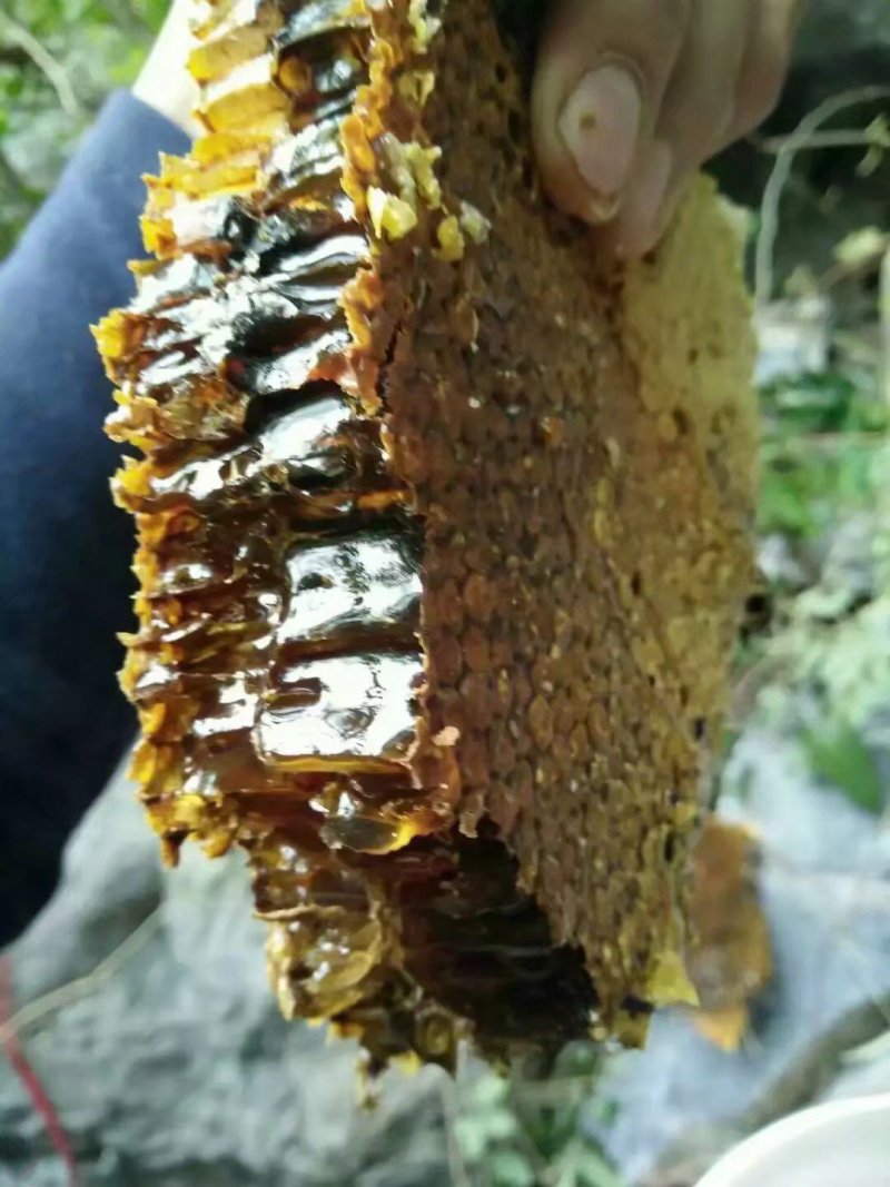 野生蜂蜜，石蜜