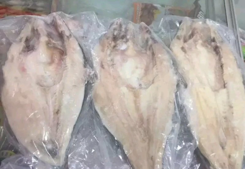 开背巴沙鱼