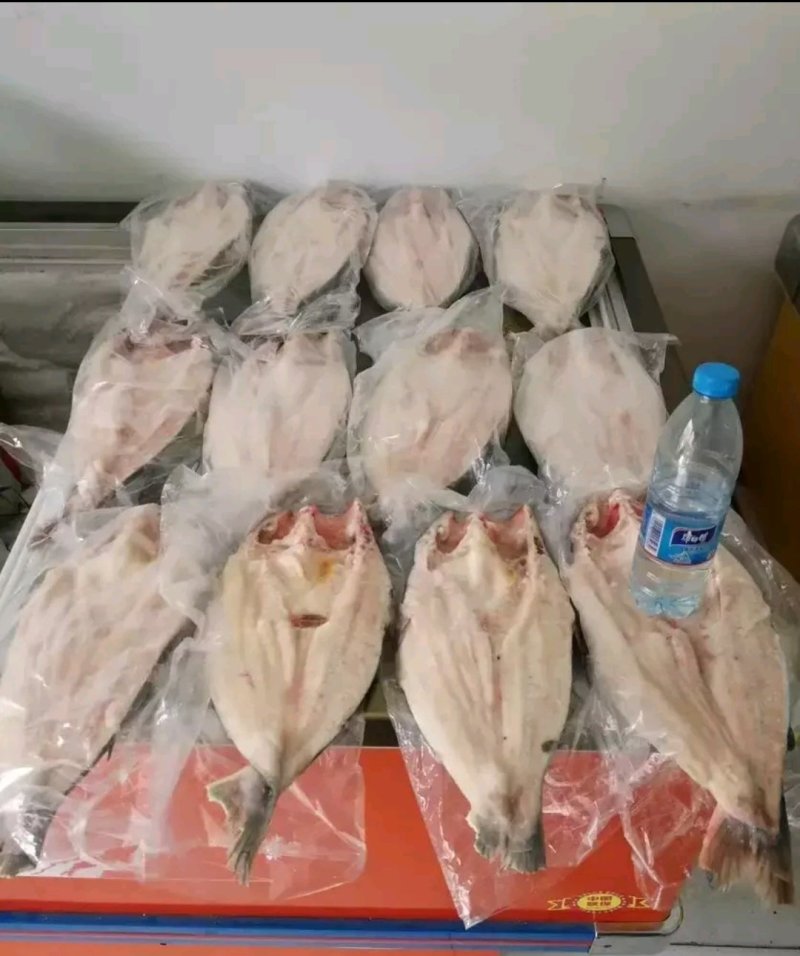 开背巴沙鱼