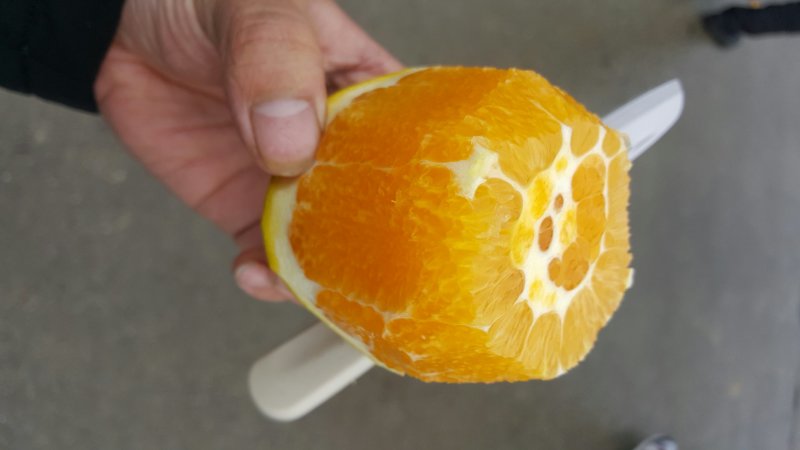 湖南纽荷尔脐橙上市中可整车代发一件或是多件代发，质量优等