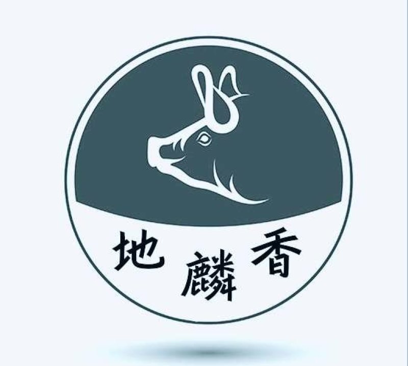 香猪