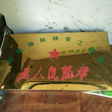 母猪，出售，生产两窝，三窝，四只，价格5.5元