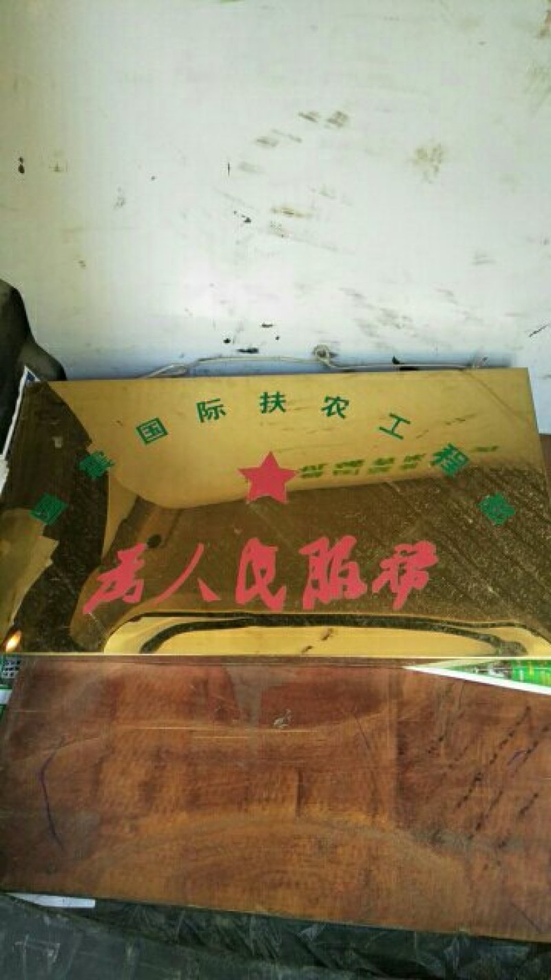 母猪，出售，生产两窝，三窝，四只，价格5.5元
