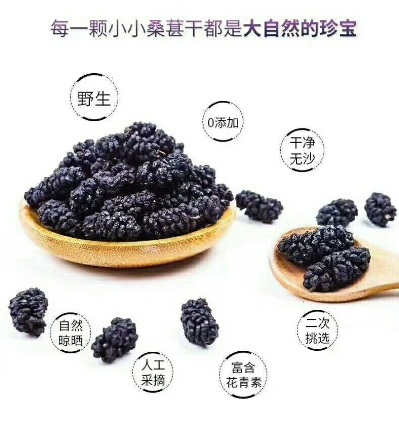 桑椹干果干加工包装全国可发货量大从优