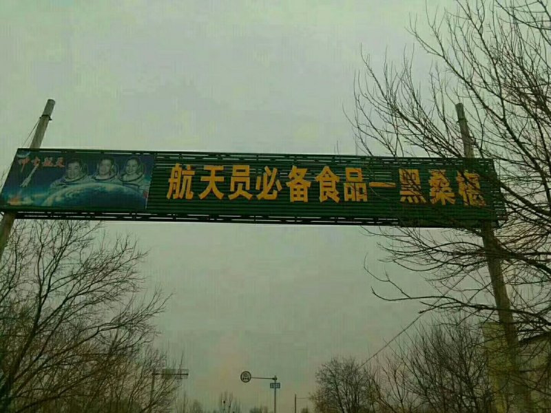 桑椹干果干加工包装全国可发货量大从优