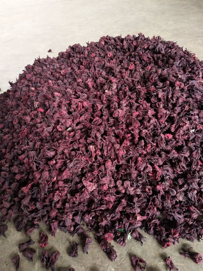 玫瑰茄