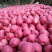 陕西洛川红富士套袋苹果🍎