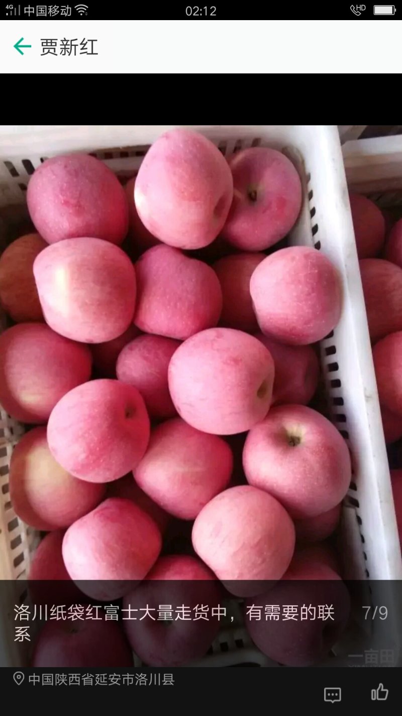 陕西洛川红富士套袋苹果🍎