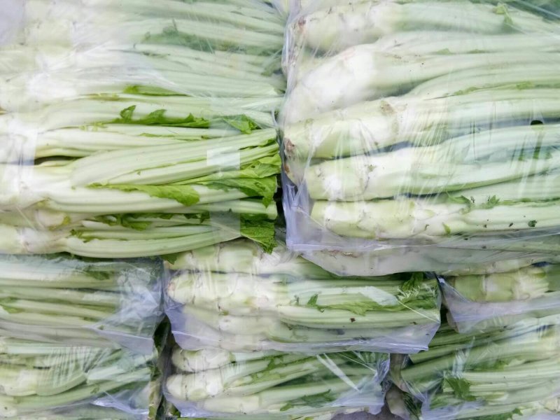 批:圆罗卜豌豆尖窝笋儿菜羊角菜菠菜洋姜香菜芹菜蒜苗等