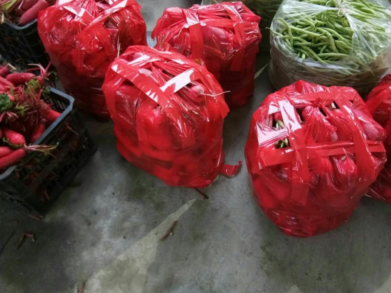 批:圆罗卜豌豆尖窝笋儿菜羊角菜菠菜洋姜香菜芹菜蒜苗等