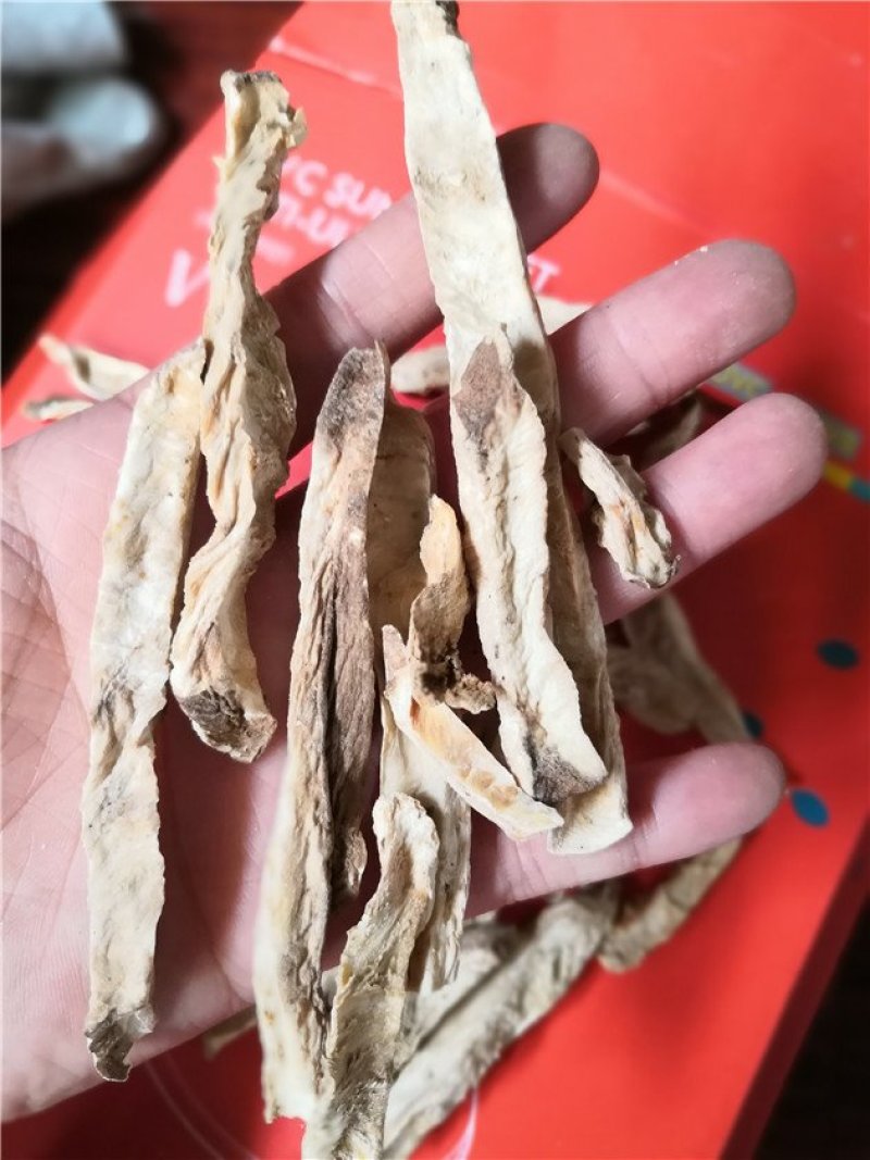 菊苣根