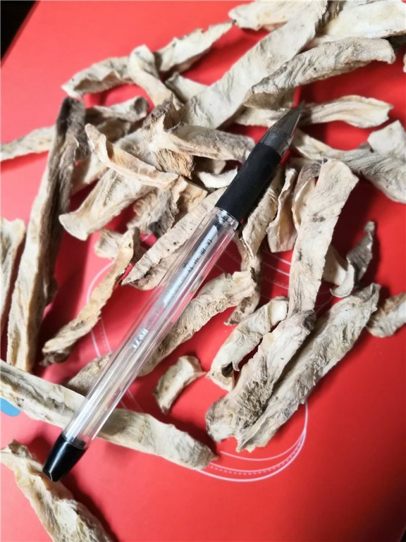 菊苣根