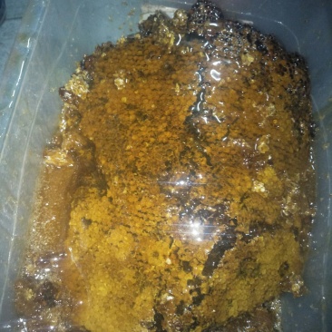 天然野生蜜糖