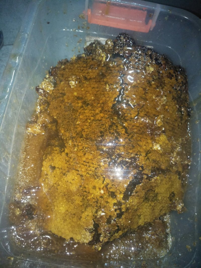 天然野生蜜糖
