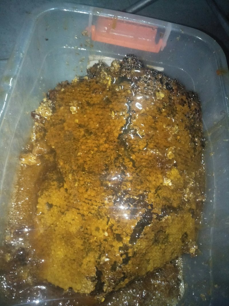天然野生蜜糖