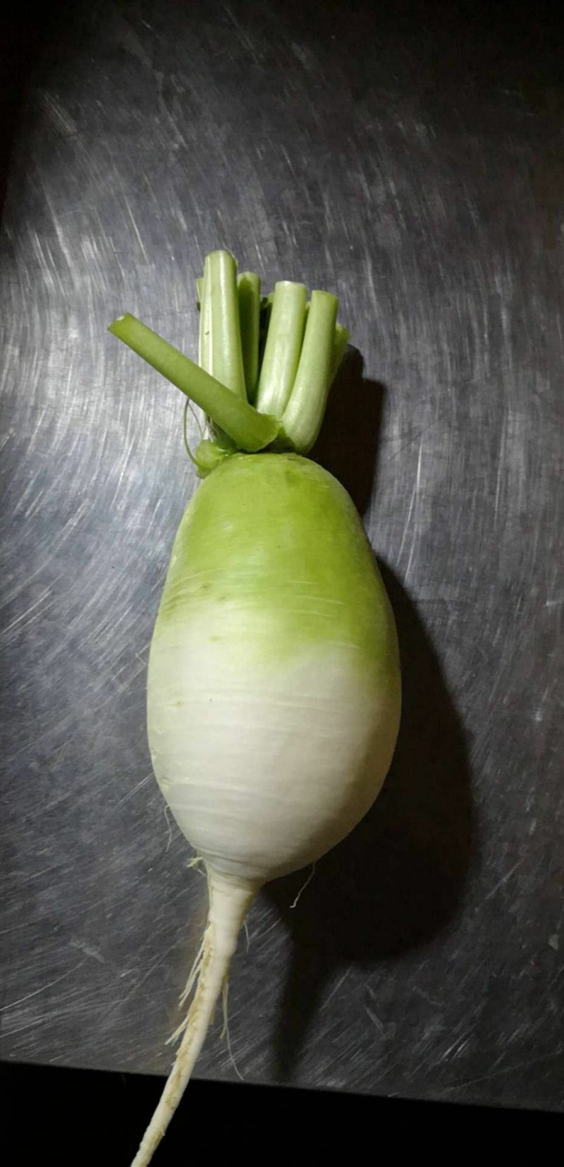萝卜