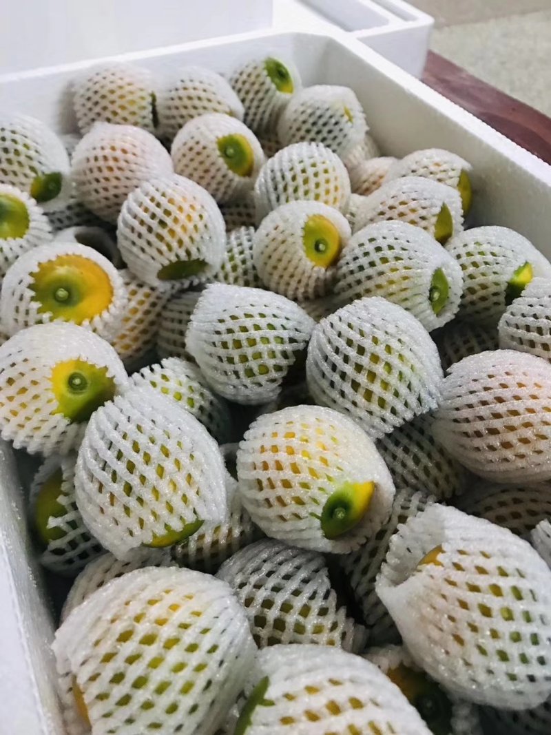 融安脆密金柑一手货源对接所有渠道全国发货包邮包售后