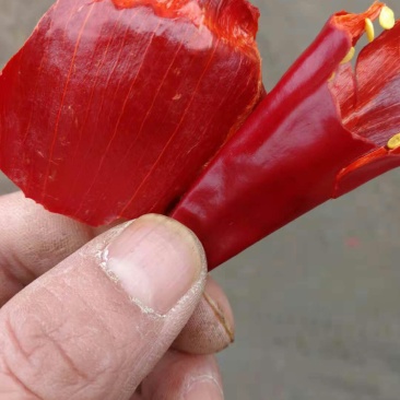 北京红大量上市好货多多老板出手吧