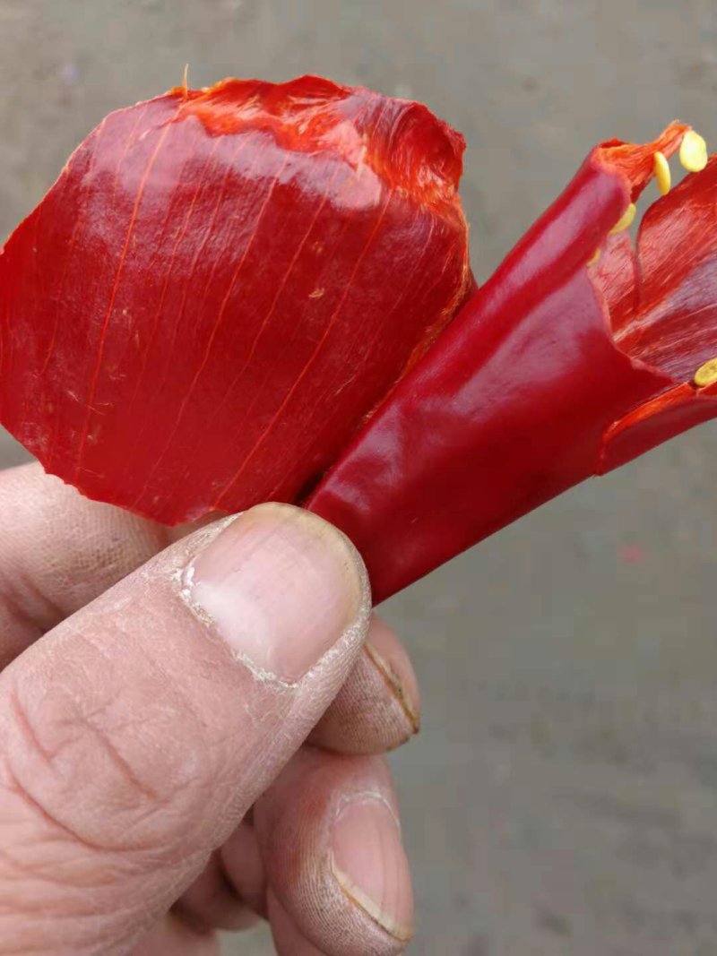 北京红大量上市好货多多老板出手吧