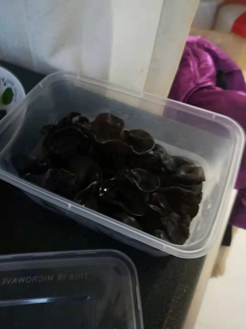 木耳小样