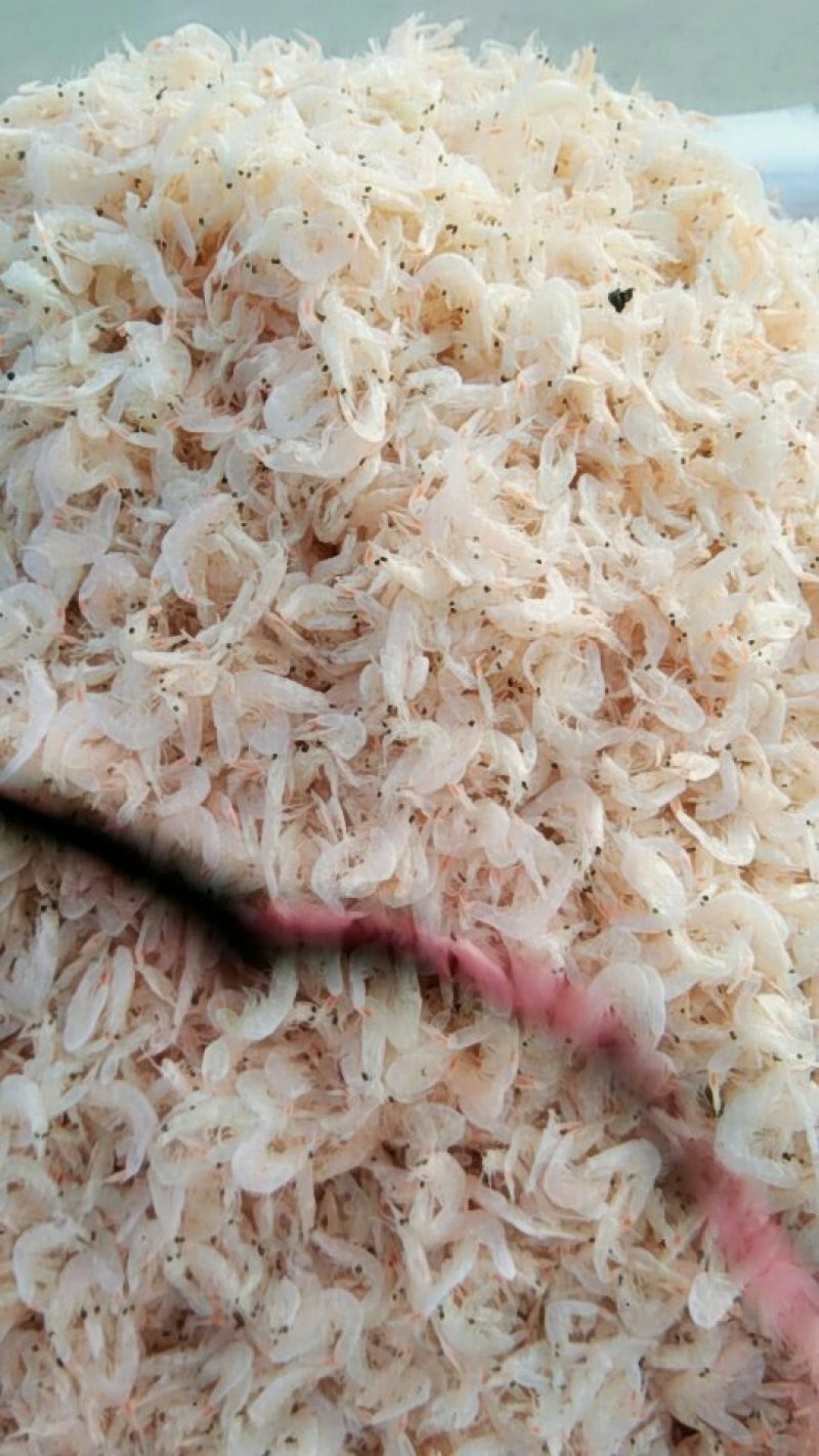 虾皮加工