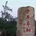 稷山板枣