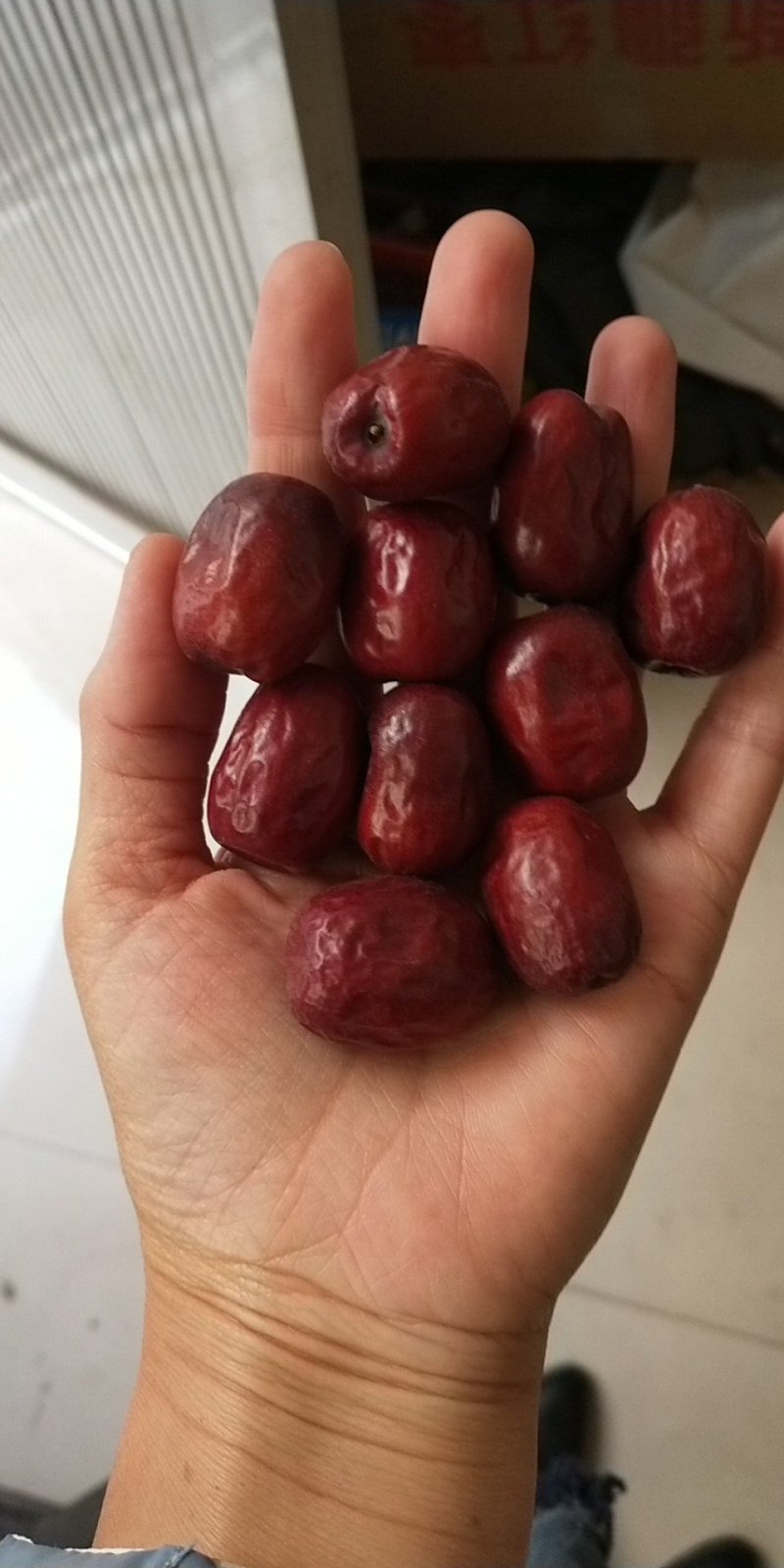 稷山板枣