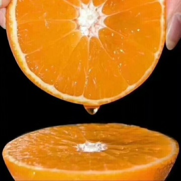 爱缓果冻橙