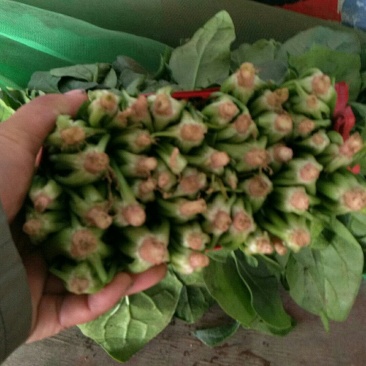 大量供应精品菠菜，电商平台商超，市场，加工厂可长期供货