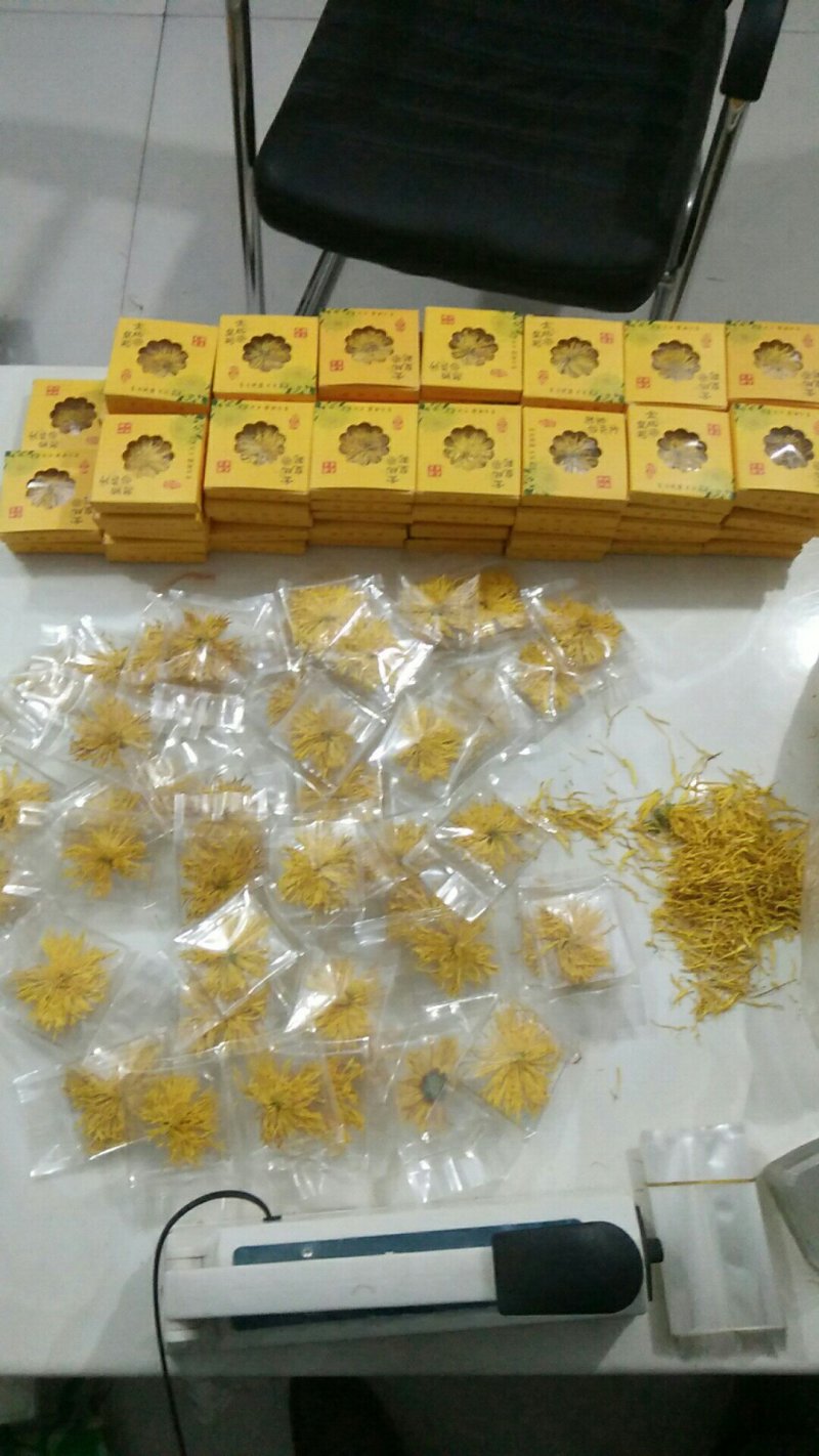金丝黄菊