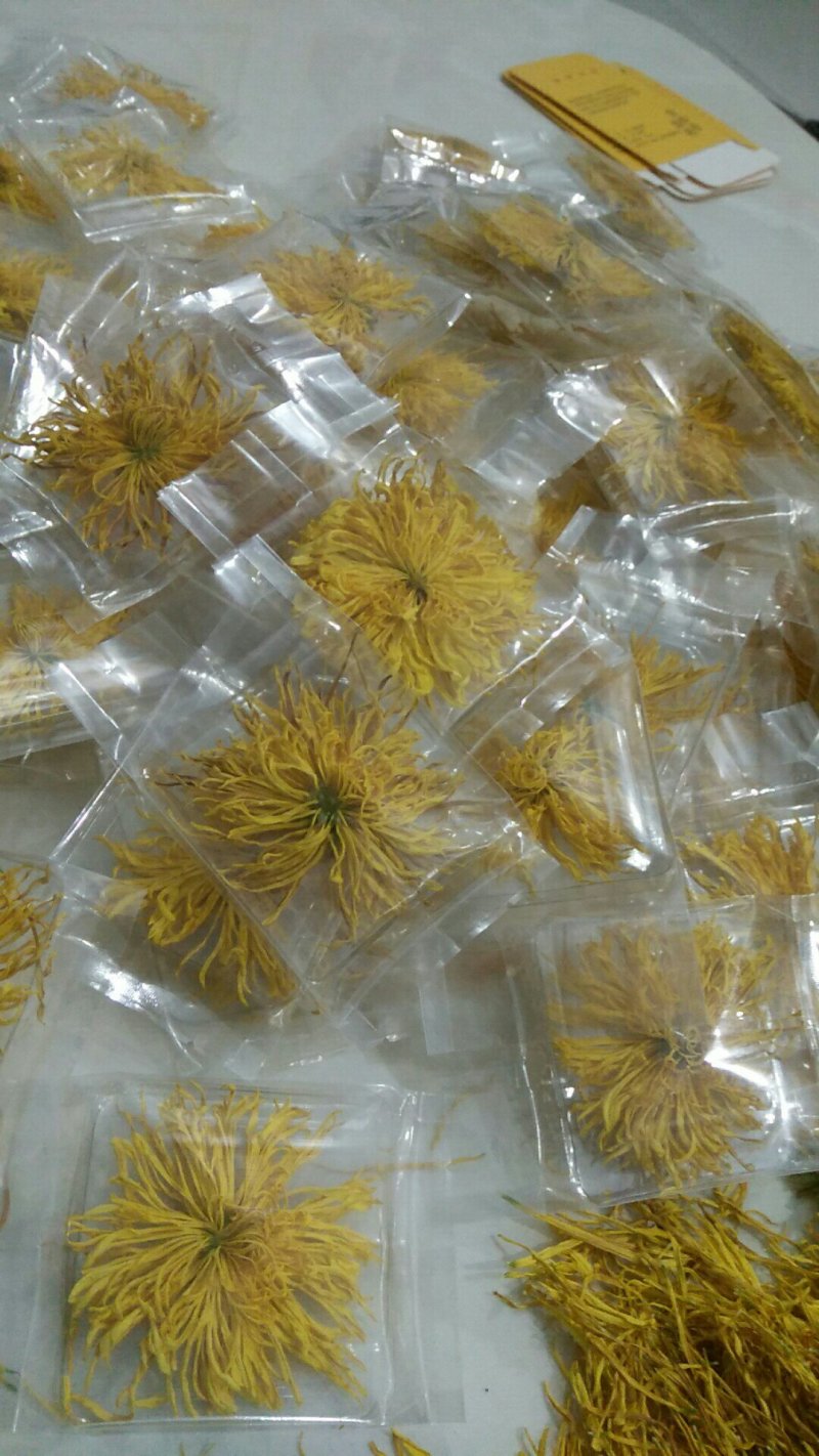 金丝黄菊