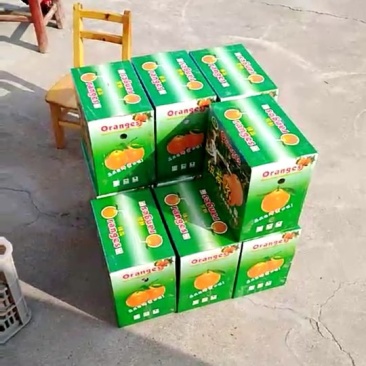 兴山纽荷尔产地直销