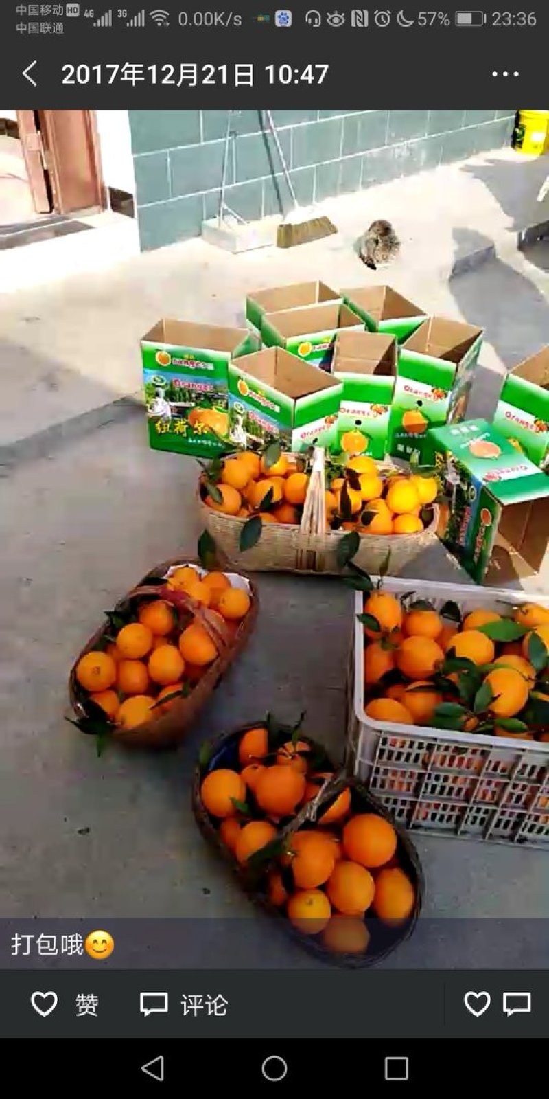 兴山纽荷尔产地直销