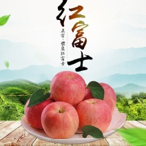 高山红苹果