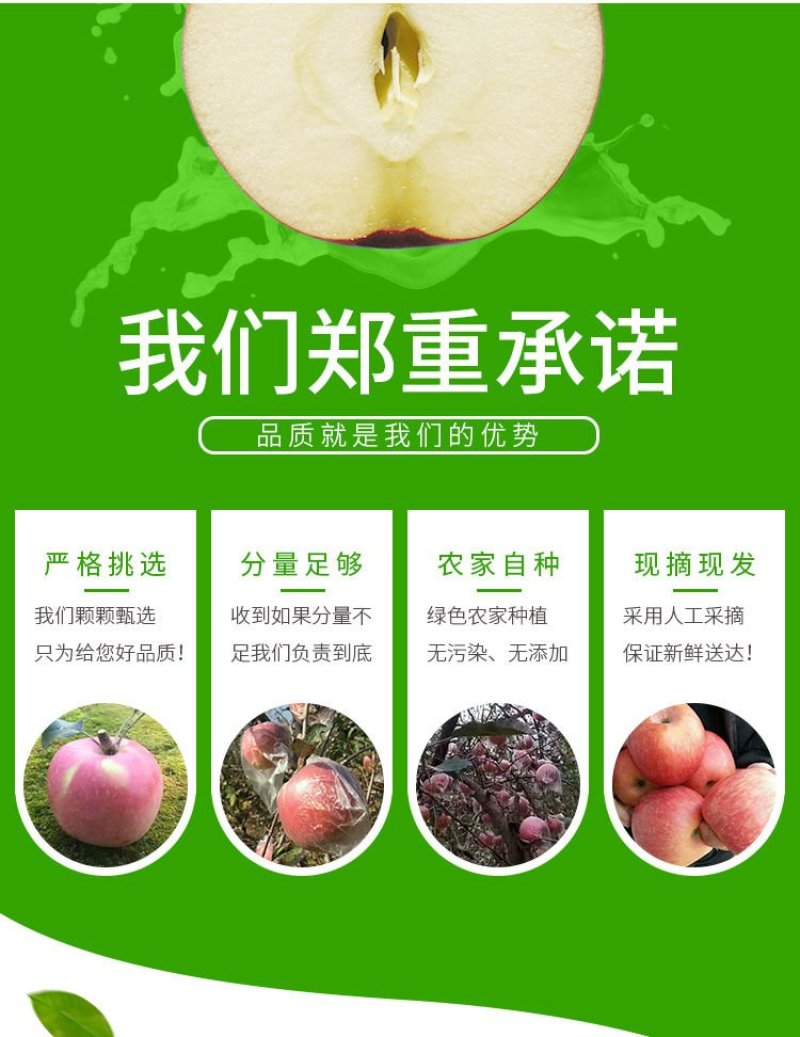 高山红苹果