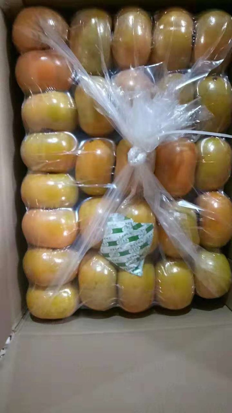 广西脆柿