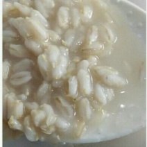 燕麦胚芽米