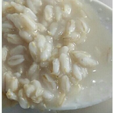燕麦胚芽米