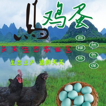 土鸡蛋精品绿壳鸡蛋农家散养绿色健康食品