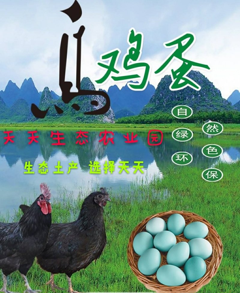 土鸡蛋精品绿壳鸡蛋农家散养绿色健康食品