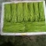 基地鲜嫩有机芦蒿火热上市中
