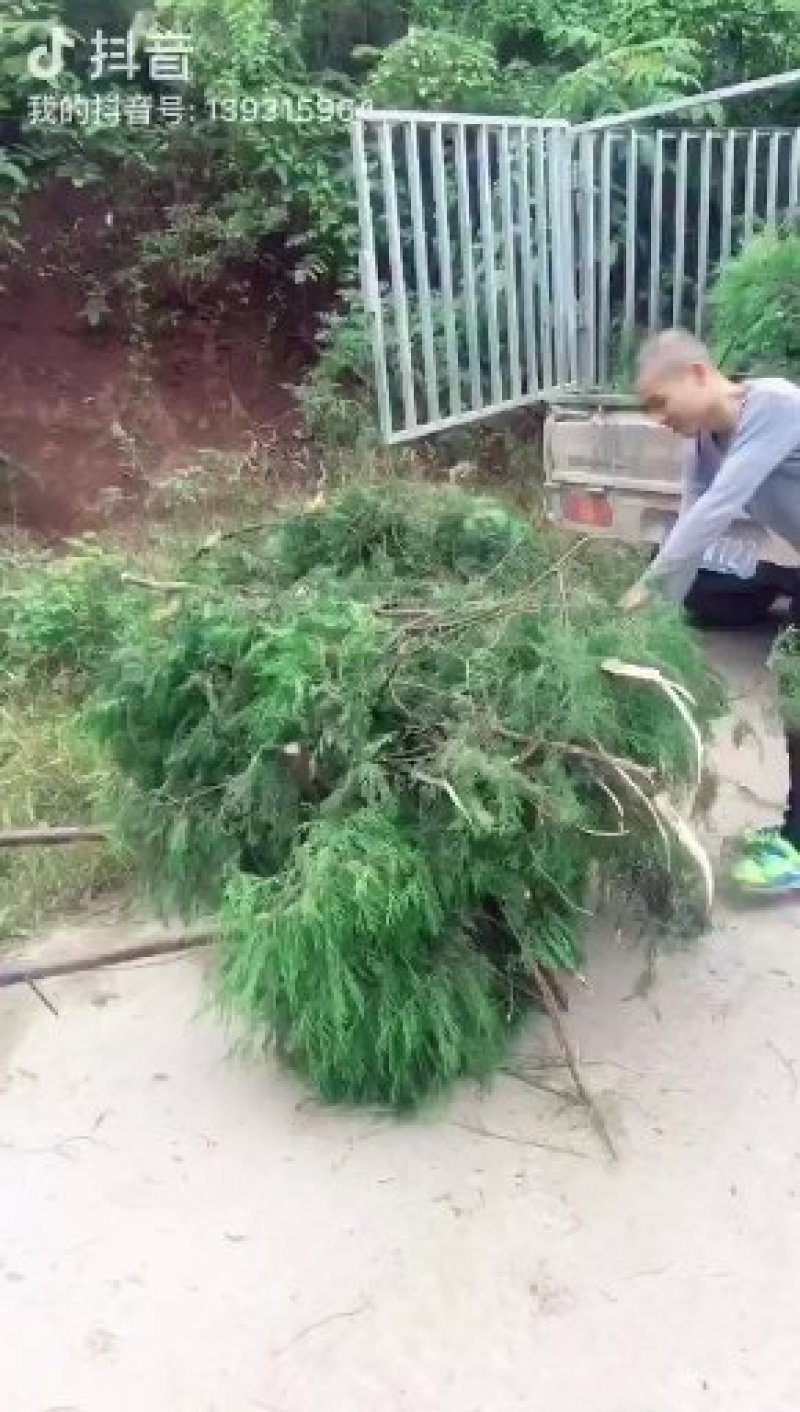 黑土猪腊肉香肠生鲜肉